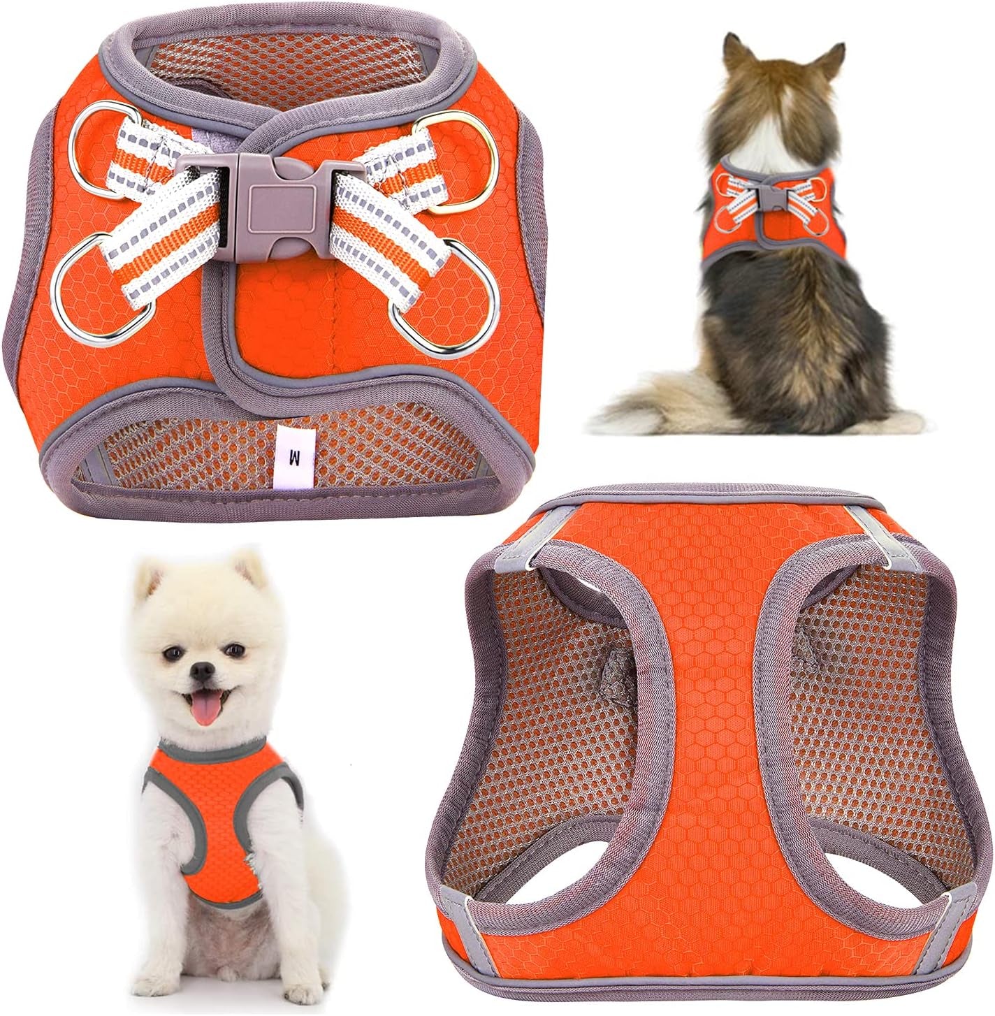 Puppy Harness, Adjustable Leash and Collar Set, Step-In Dog Harness, 3M Reflective Pet Dog Vest for Small Medium Puppy (M:Neck 12.6-13.4"|Chest 17.3-18.9", Orange)