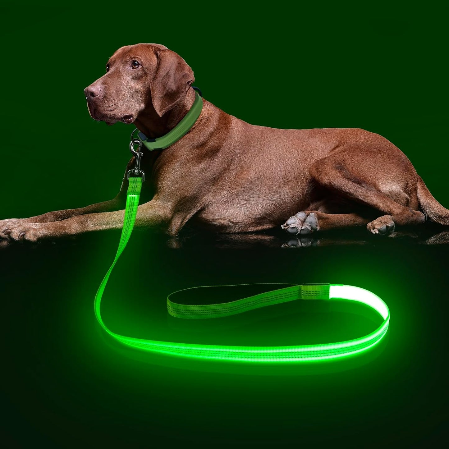 Light up Dog Leash, LED Pet Leashes USB Rechargeable, Glow Safety Dogs Lights at Night (4Ft,Green-New)