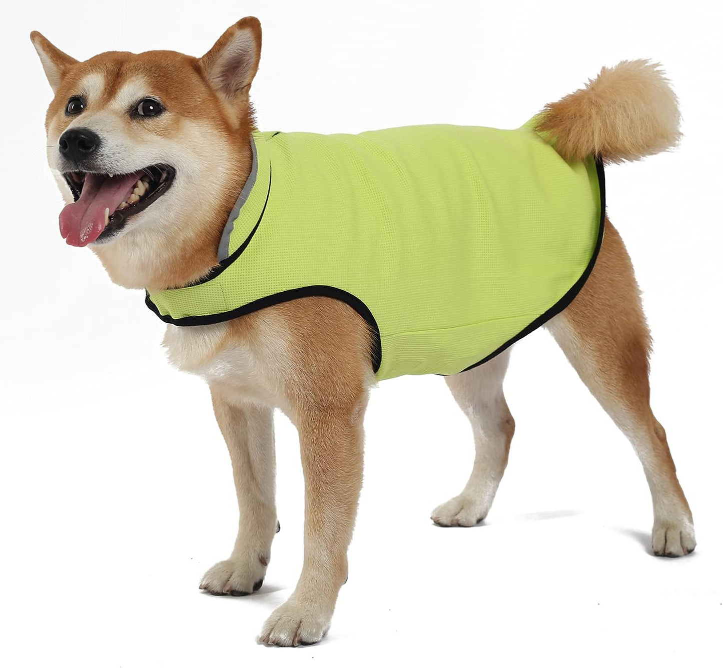 Dog Anxiety Jacket,Calming Solution Coat for Fireworks,Thunder,Travel,Separation for Small Medium Large Breeds,M Green