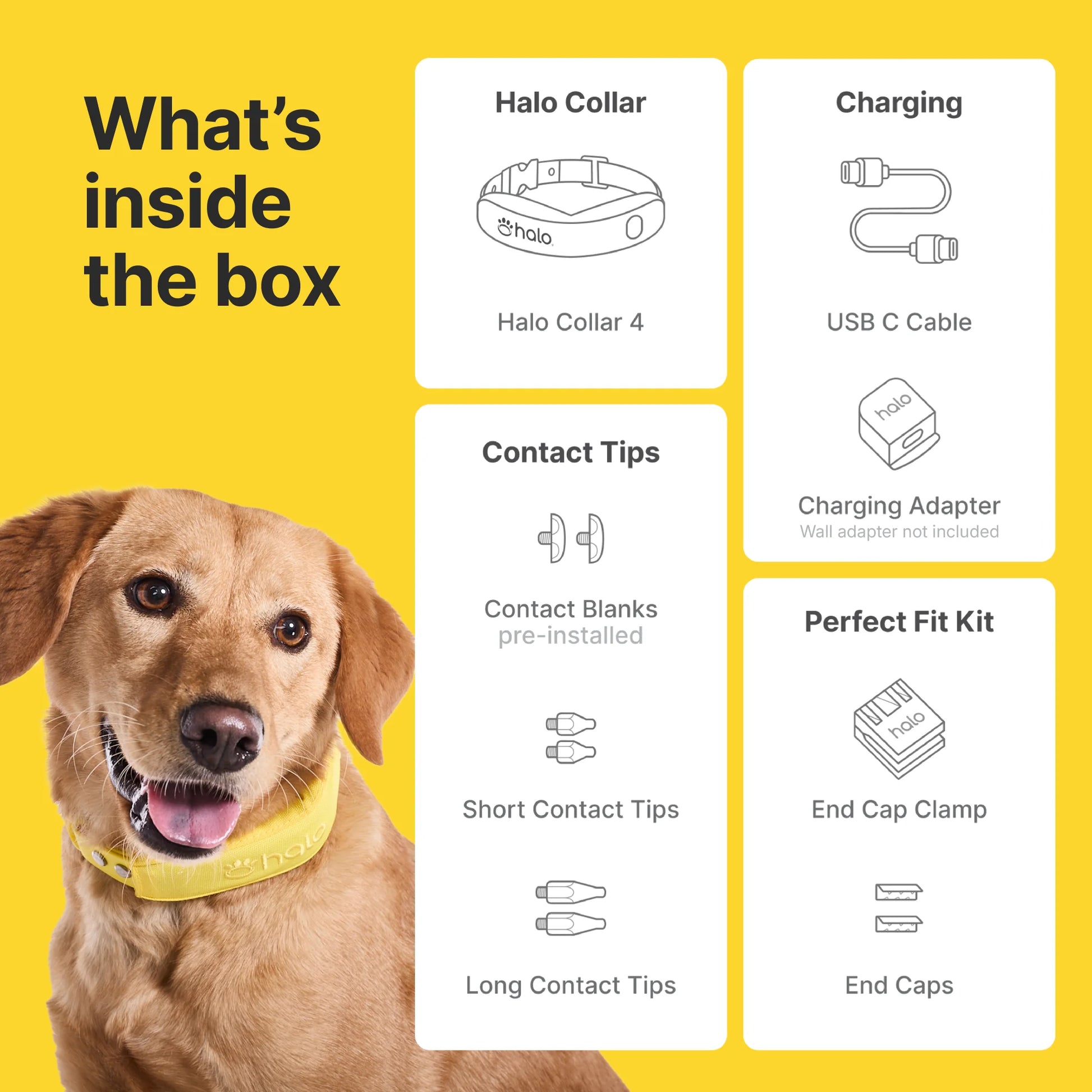 Collar 4 Wireless Dog Fence System & GPS Dog Collar, One Size, Orchid