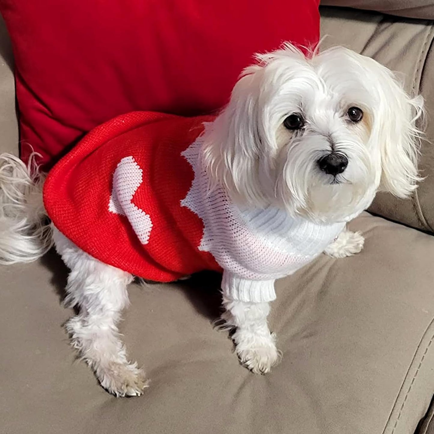 Pet Dog Sweaters Classic Knitwear Turtleneck Winter Warm Puppy Clothing Cute Strawberry and Heart Doggie Sweater (Red2, Xx-Small)