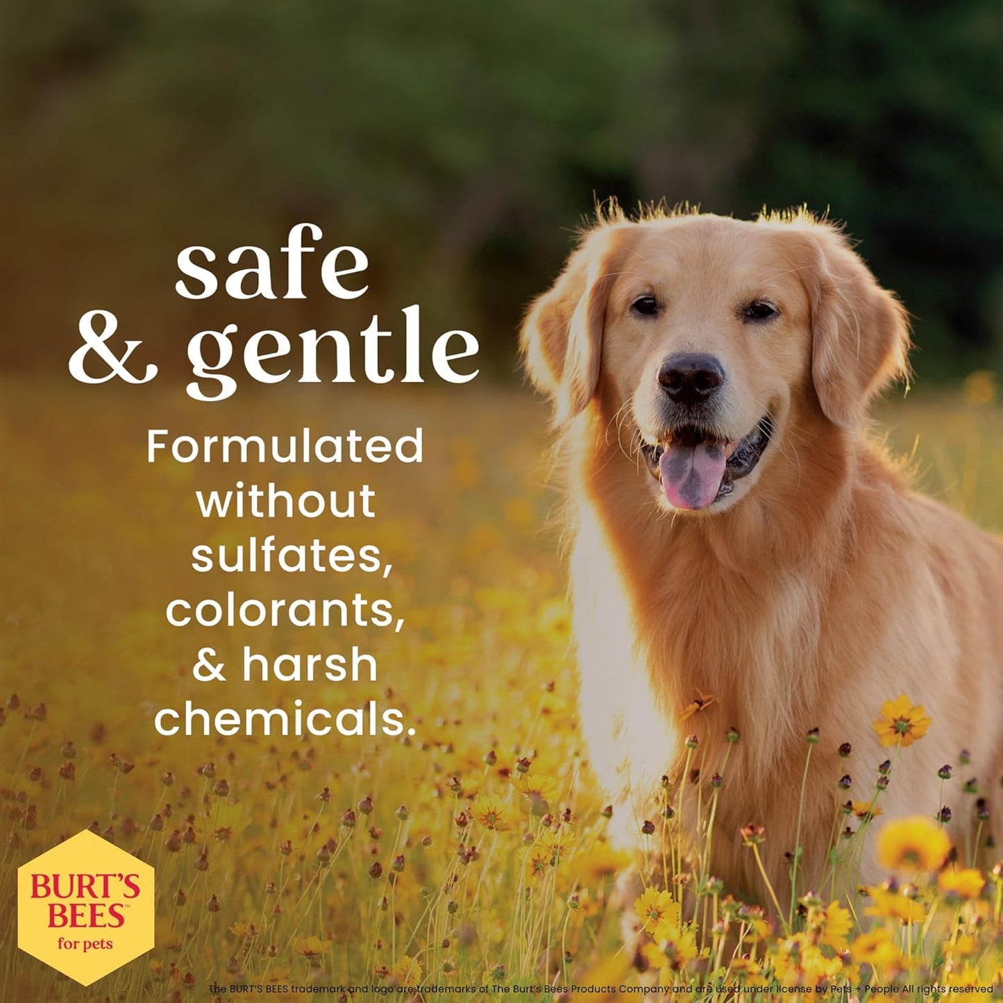 Dog Detangling Spray, Natural Leave-In Coat Detangler & Dog Deodorizing Grooming Spray with Lemon, Ph Balanced for Dogs, Paraben & Sulfate Free, 10 Fl Oz