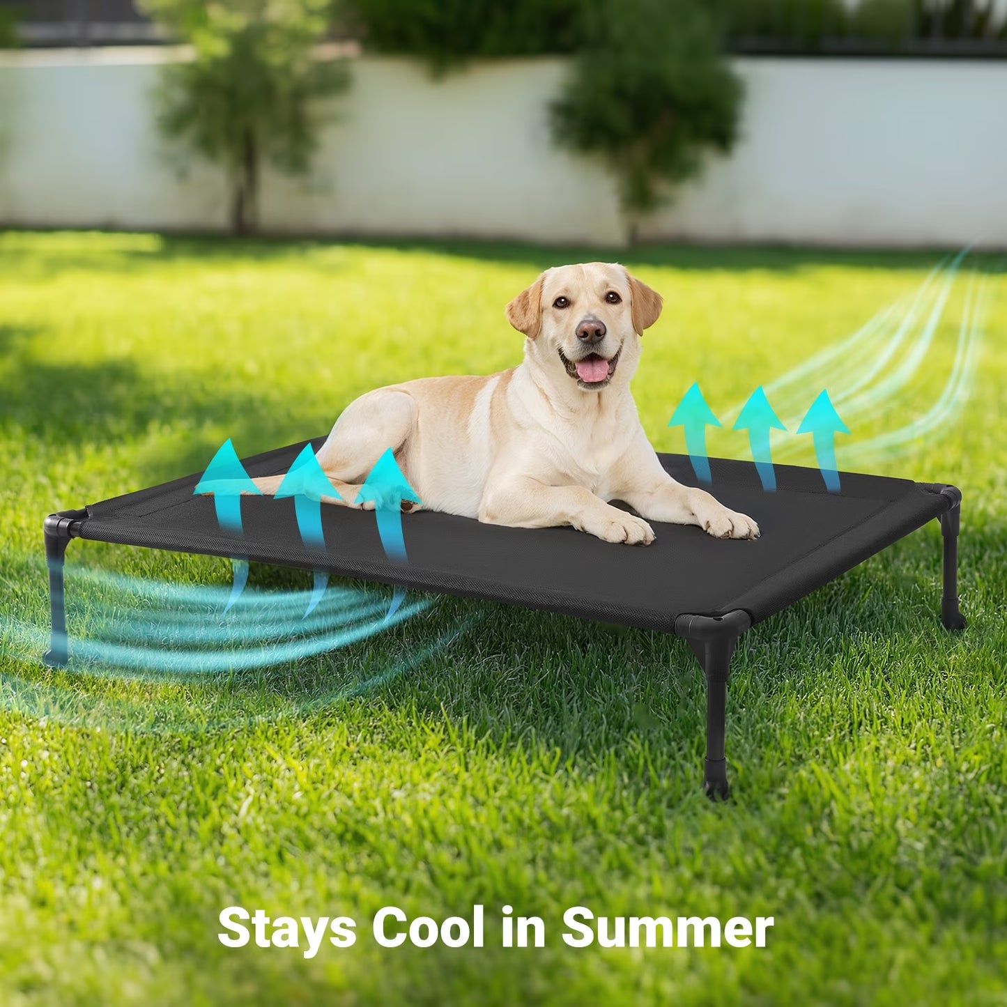 Cooling Elevated Dog Bed, Portable Raised Pet Cot with Washable Mesh, 42"X30", Black
