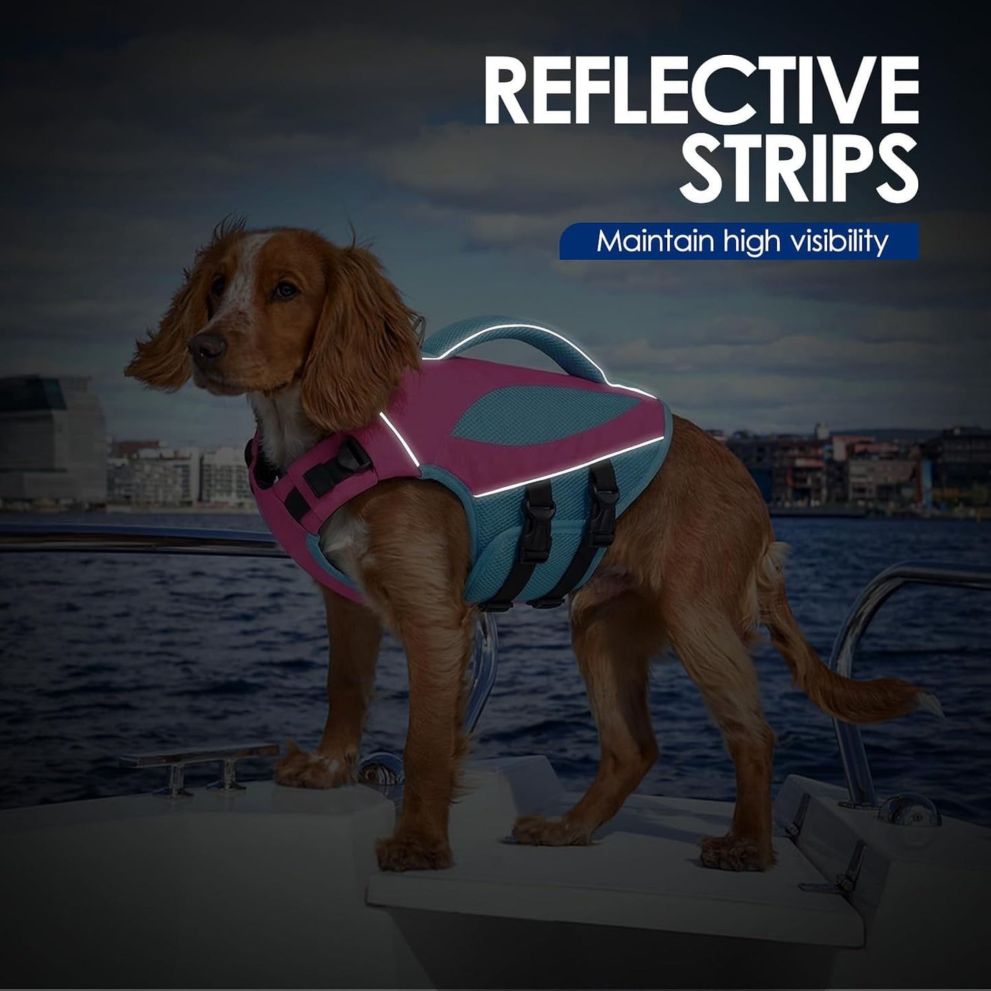 Dog Life Jacket, Dog Life Vests for Swimming Boating, High Buoyancy Pet Swim Vest Swimsuit with Rescue Handle and Reflective Strips, Adjustable Pet Lifesaver for Dogs (Hot Pink with Blue L)