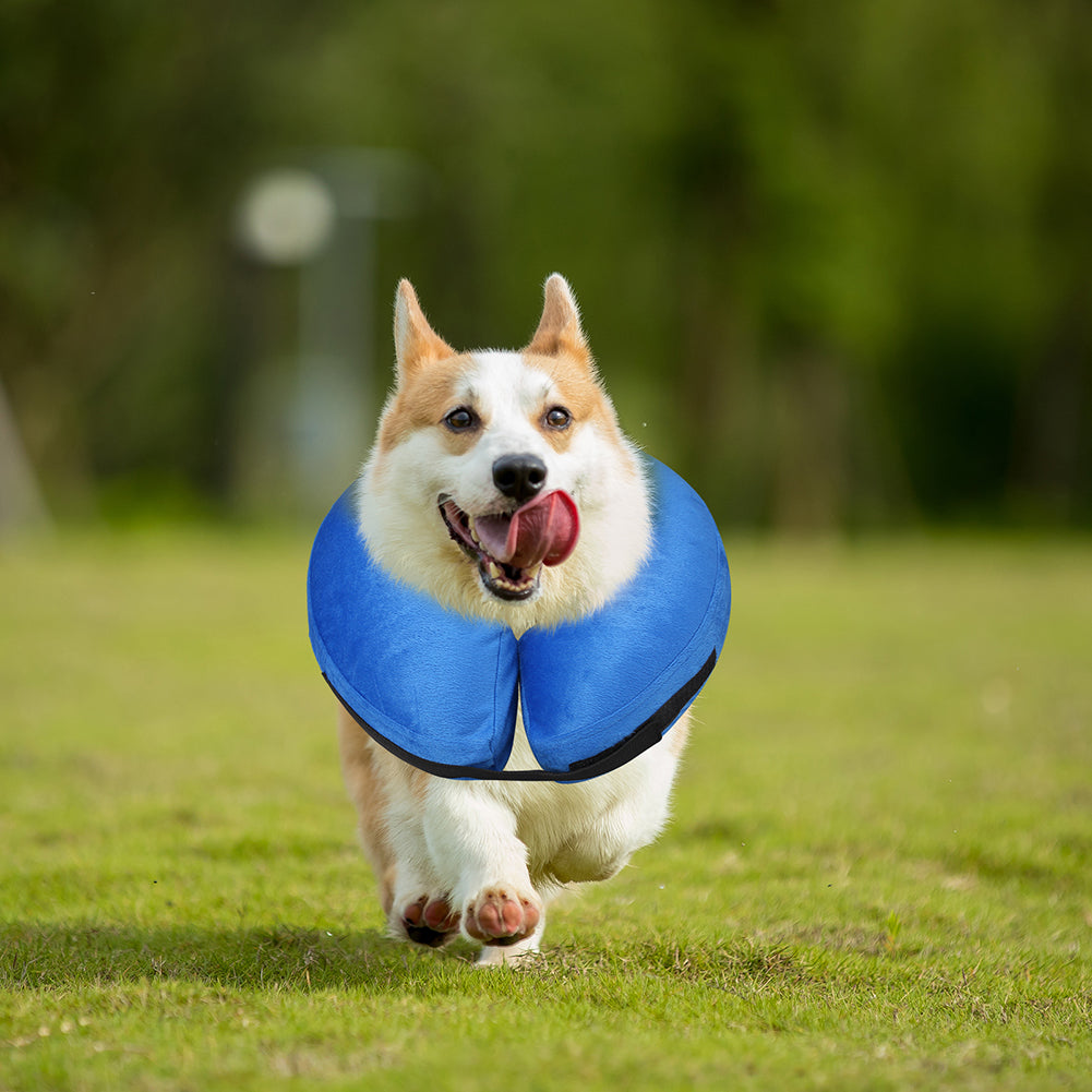 Protective Inflatable Collar for Dogs and Cats - Soft Pet Recovery Collar Does Not Block Vision E-Collar (M, Blue)