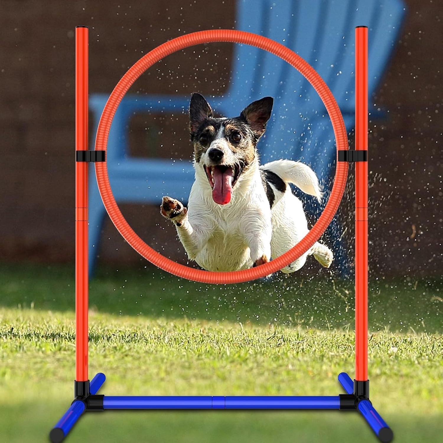 Dog Agility Set, Jump Ring, Poles, Pause Box & Storage Bag (3 Sets)