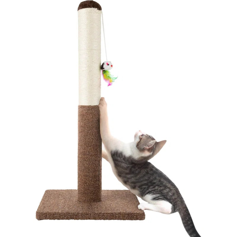 Cat Scratch Post with Hanging Toy