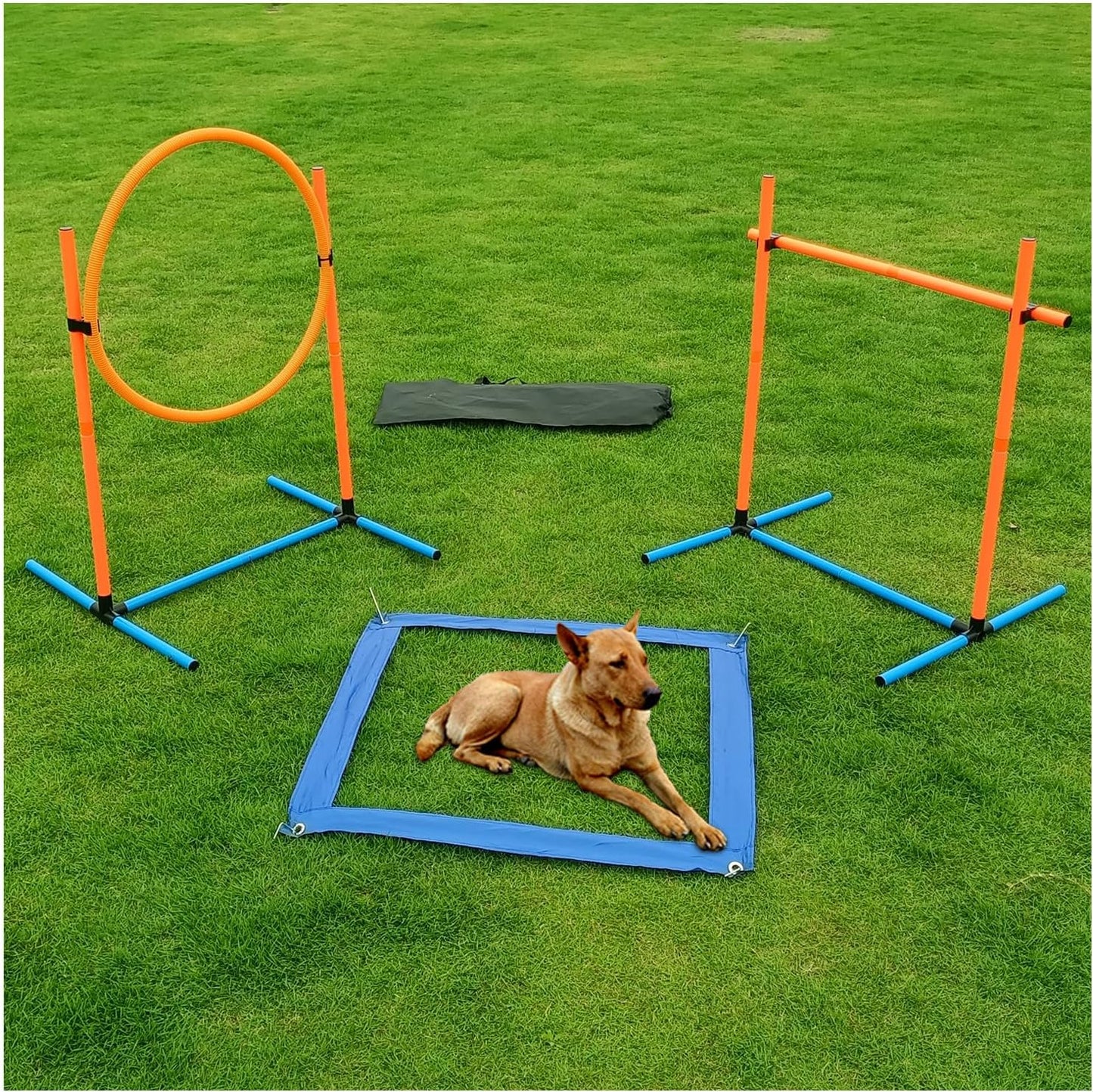 Dog Agility Set, Jump Ring, Poles, Pause Box & Storage Bag (3 Sets)