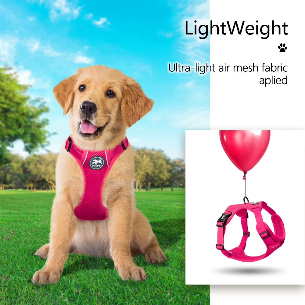 Dog Harness Adjustable Soft Breathable Mesh Pet Harness No Pull Choke-Free Double Padded Vest for Small Medium and Large Dogs,Fuchsia XL