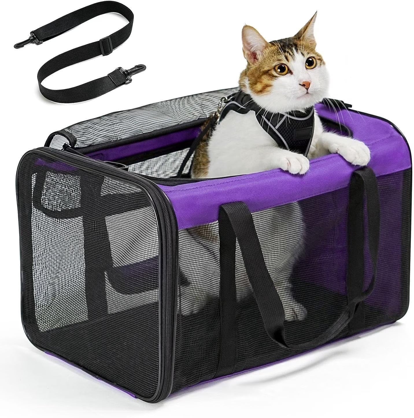 Conlun Cat Carrier,Soft-Sided Cat Carriers with 4-Sided Mesh,Airline Approved Pet Transport Carrier,Collapsible Cat Travel Carrier-Purple