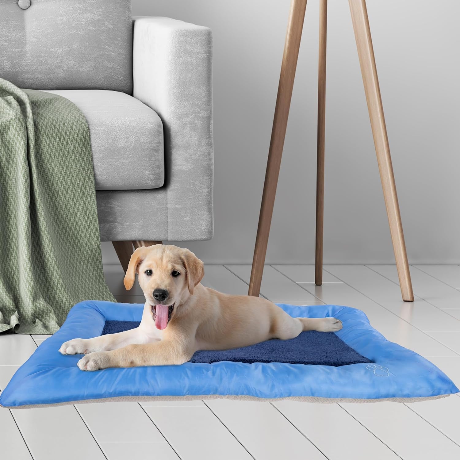 Plush Cozy Pet Crate/Pet Bed, X-Large, Blue