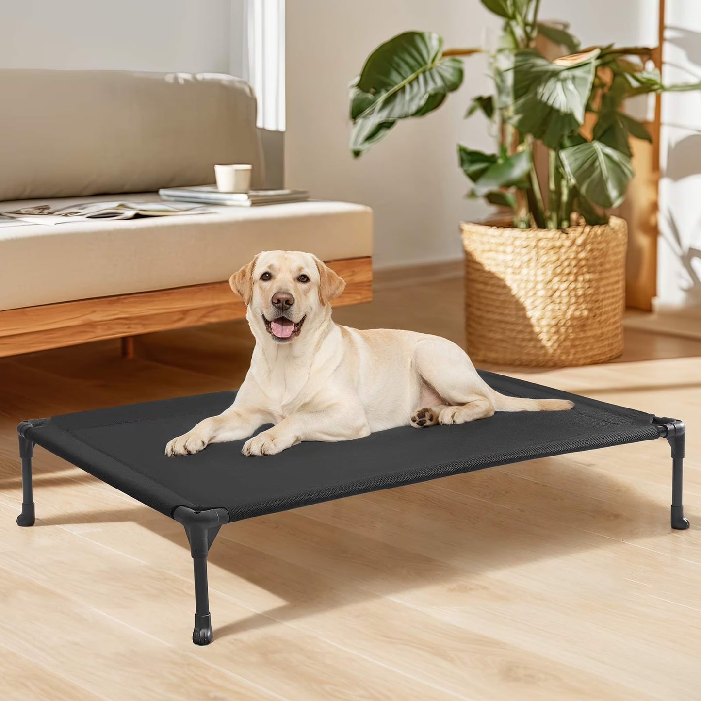 Cooling Elevated Dog Bed, Portable Raised Pet Cot with Washable Mesh, 42"X30", Black