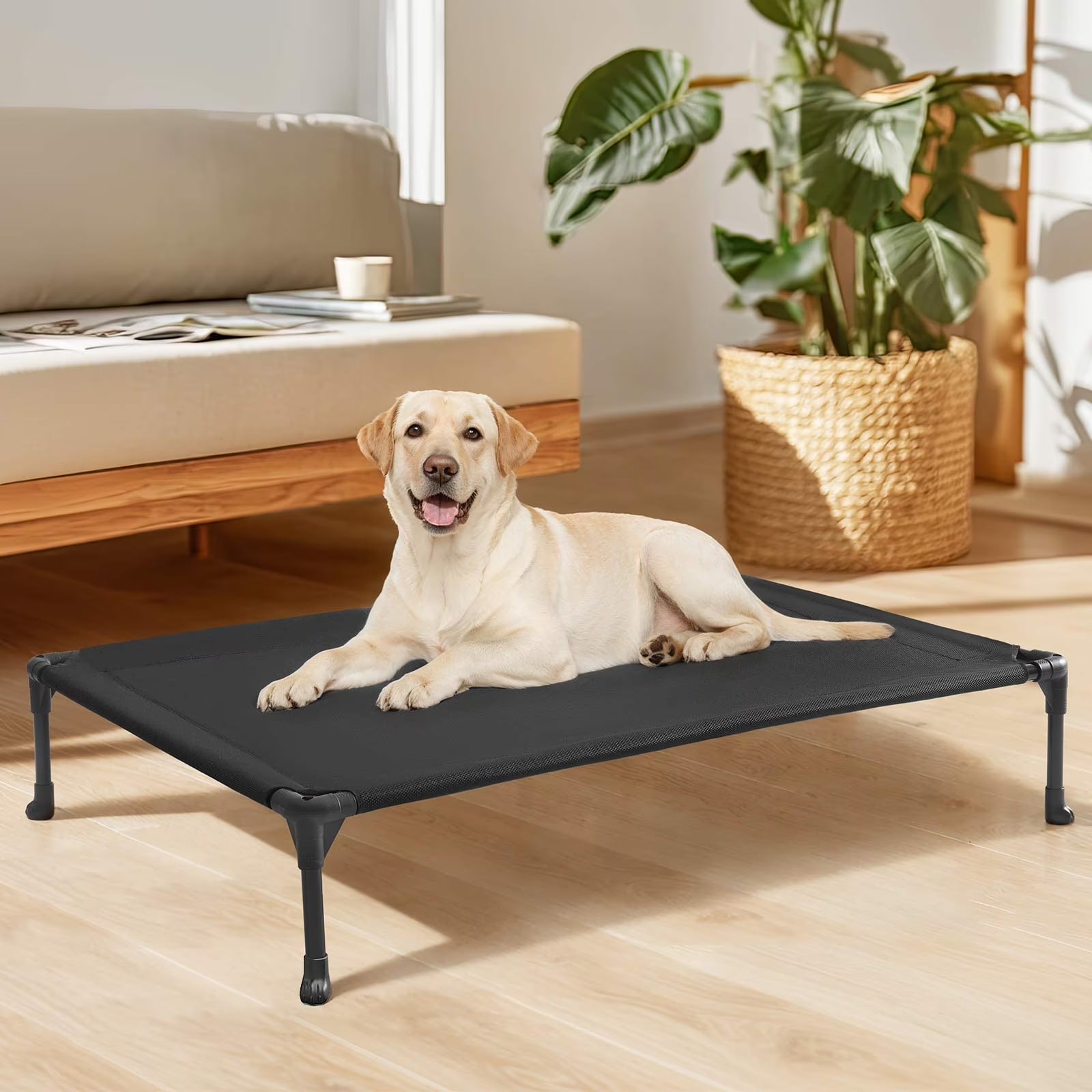 Cooling Elevated Dog Bed, Portable Raised Pet Cot with Washable Mesh, 42"X30", Black