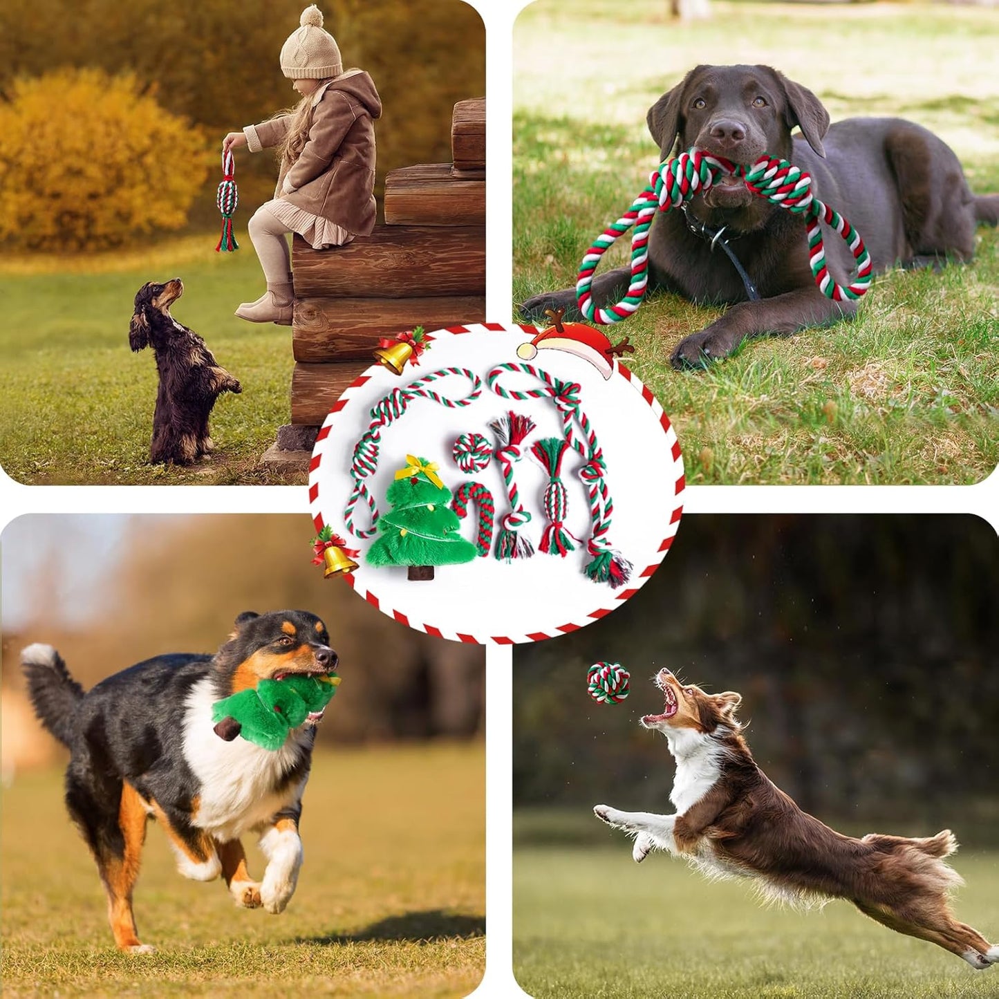 Dog Rope Toys Set, 7 Pack Cotton Dog Toys for Large Dogs and Medium Small, Cute Interactive Squeaky Toy, Chewing Puppy Gaming Toy for Teeth Cleaning