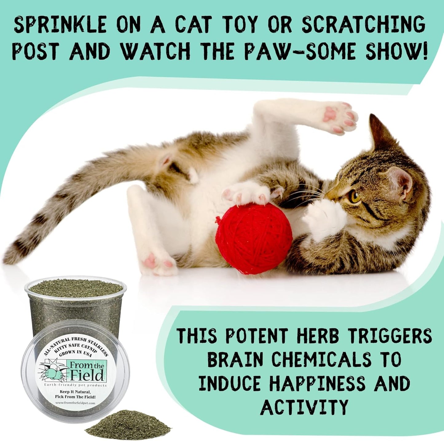 | Fine Ground Stalkless Catnip | Premium Usa-Grown Catnip for Toys & Playtime | Fresh, Potent, Non-Toxic, Eco-Friendly | Safe for Kittens & Cats | Resealable 6 Oz Tub